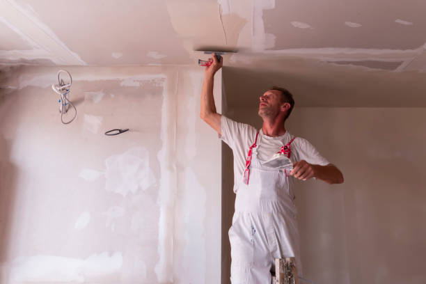 Best Drywall Removal and Disposal  in Elkhart, TX